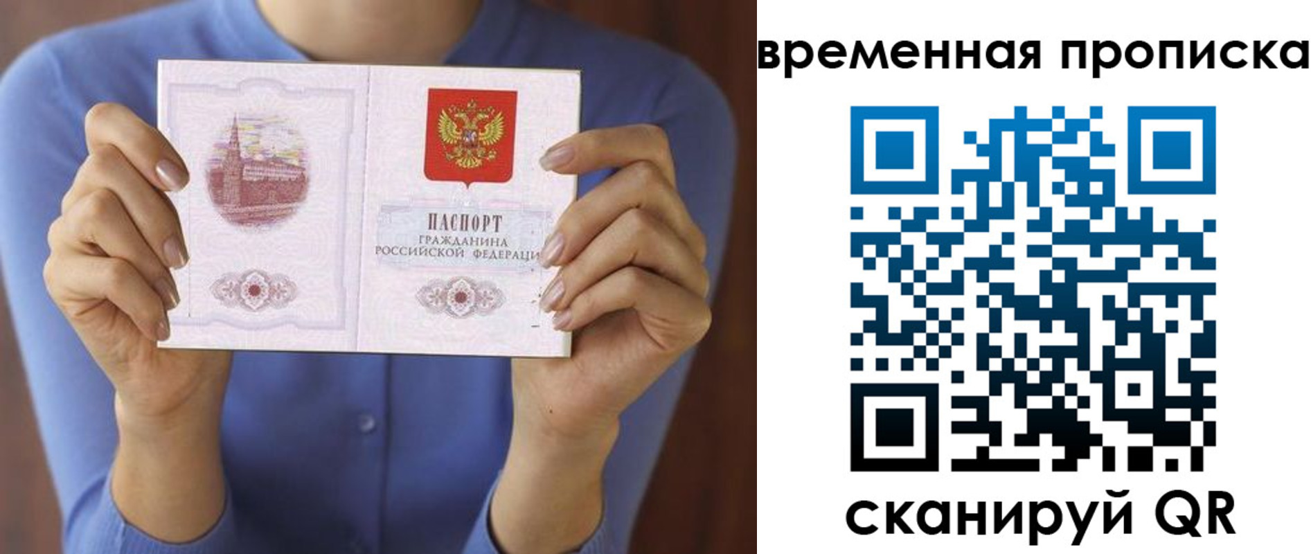 прописка поиск в Ивантеевке
